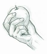 Image result for Hand with Apple Drawing