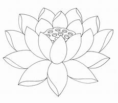 Image result for Lotus Emotion