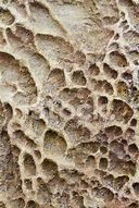 Image result for Underwater Rock Texture
