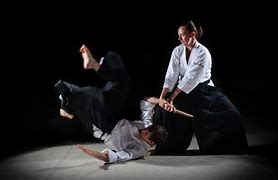Image result for Aikido Wallpaper