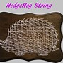 Image result for Cardioid String Art