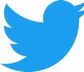 Image result for Twitter Logo Picture