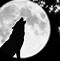 Image result for Lone Wolf Howling at Moon