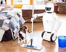 Image result for Types of Household Robots