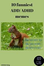 Image result for Squirrel ADHD Meme