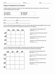 Image result for Dihybrid Worksheet with Answer Key