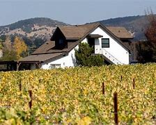 Image result for Goosecross Riesling