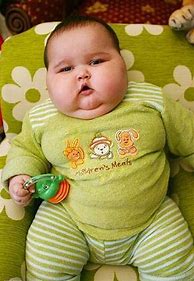 Image result for Fat Babies Flickr