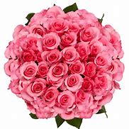 Image result for Pink Fresh Cut Roses Walmart