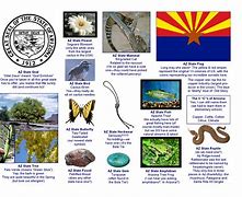 Image result for State Symbols and Facts