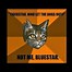 Image result for Warrior Cats Funny Memes Clean