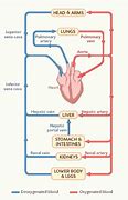 Image result for Hegel System Diagram