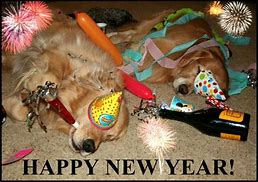 Image result for Dogs Saying Happy New Year