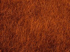 Image result for Brown Grain Texture Background