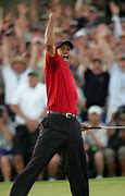 Image result for Tiger Woods Live Wallpaper