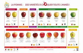 Image result for Pomme De France
