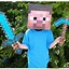 Image result for Minecraft Steve Costume