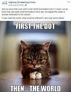 Image result for Sorry for the Delay Cat Meme