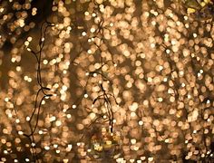 Image result for Beautiful Fairy Lights