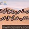 Image result for Sharab Poetry in Farsi