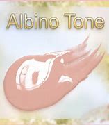 Image result for albinp
