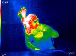 Image result for X Infrared iPhone Camera