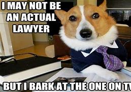 Image result for Animal Lawyer Meme