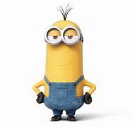 Image result for Minions Shorthair