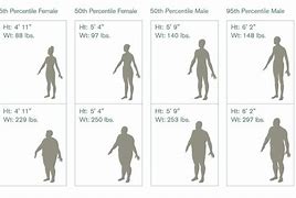 Image result for sizes compare human