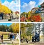 Image result for Famous Places in Korea