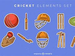 Image result for Pictures and Name of All Cricket Gears