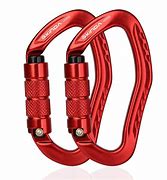 Image result for Micro Locking Carabiner