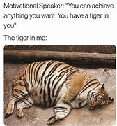 Image result for Tiger Meme Pic