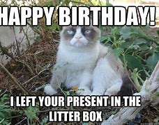 Image result for Happy Birthday Burmese Cat Meme