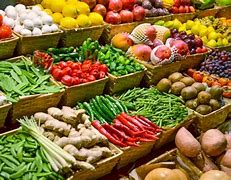 Image result for Examples of Cash Crops