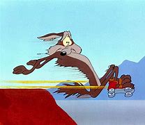 Image result for Willy E. Coyote and Road Runner