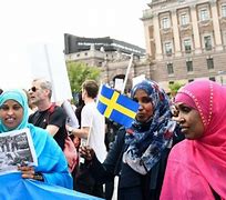 Image result for Sweden Migrants