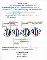Image result for DNA Replication Worksheet Answer Key