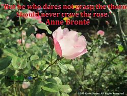 Image result for But He Who Craves the Rose Should Never Gasp The Thorn