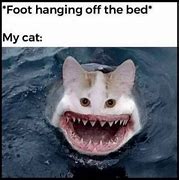 Image result for Random Memes That Are Funny