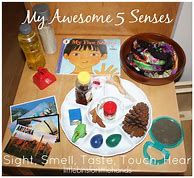 Image result for 5 Senses Preschool Activities