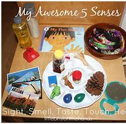 Image result for Five Senses Science Theme