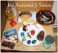 Image result for Sight Sensory Table