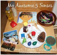 Image result for Five Senses Sensory Table Ideas