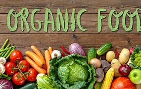 Image result for Benefits of Organic Food