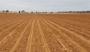 Image result for Agriculture Soil