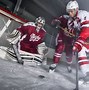 Image result for Hockey Windows Backgrounds
