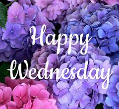 Image result for Purple Wednesday Hump Day