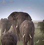 Image result for Mount Kenya Safari Park