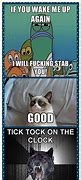 Image result for Angry Animal Meme